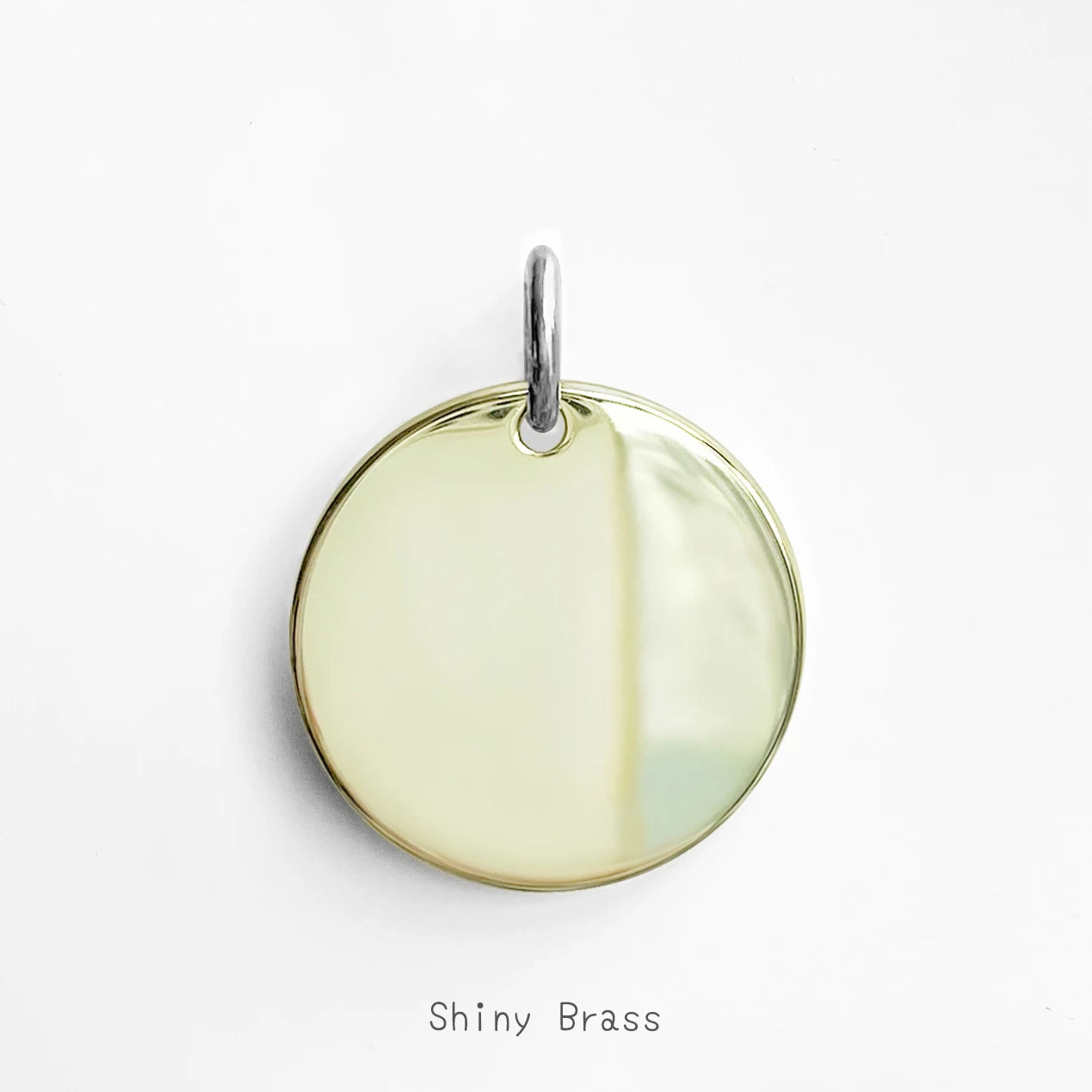 Custom Pet ID Tag Necklace & Collar Charm