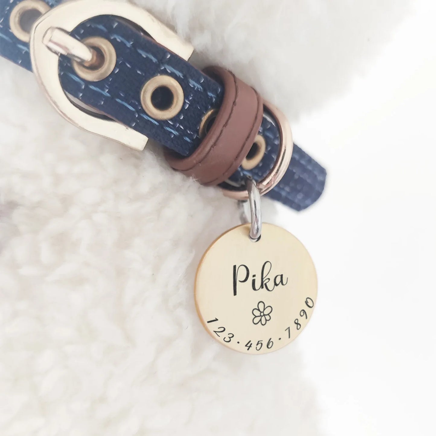 Custom Pet ID Tag Necklace & Collar Charm