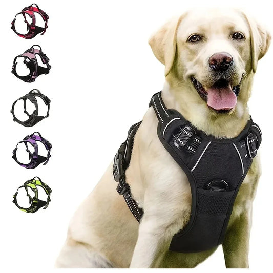 Leather Dog Harness, Collar & Leash Set