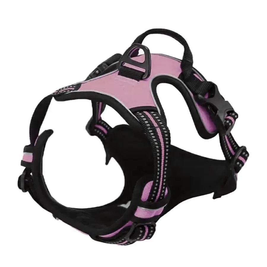 Leather Dog Harness, Collar & Leash Set
