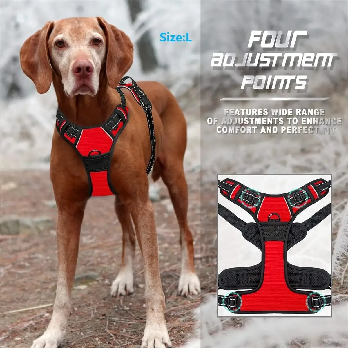 Leather Dog Harness, Collar & Leash Set